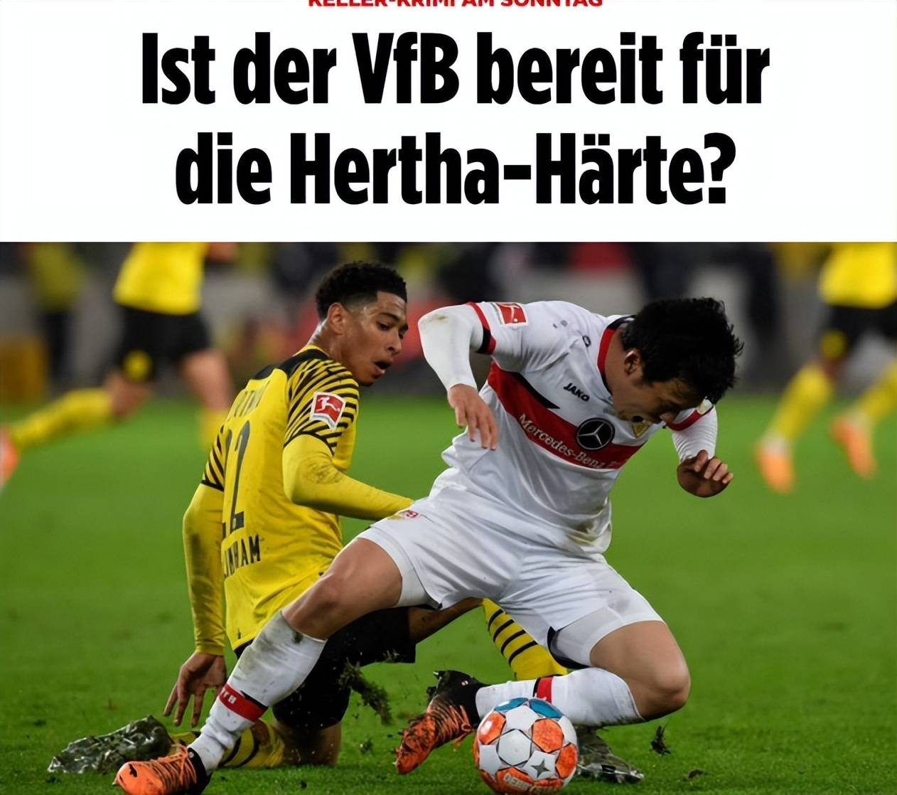 内外赛